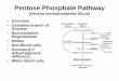 Pentose Phosphate Pathway - Western Oregon University