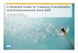 A Detailed Guide to Treasury Functionality and Enhancements from SAP