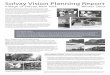 Solvay Vision Planning Report - ESF