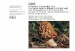 Field guide to common macrofungi in eastern forests and their