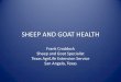 SHEEP AND GOAT HEALTH