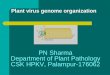 PN Sharma Department of Plant Pathology CSK HPKV, Palampur-176062