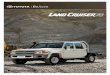 LAND CRUISER DOUBLE CAB CAB CHASSIS LX IN WHITE