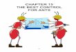CHAPTER 15 THE BEST CONTROL FOR ANTS - Nontoxic & Pesticide Free