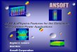 HFSS & ePhysics Features for the Simulation of Microwave Power