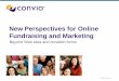 New Perspectives for Online Fundraising and Marketing