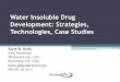 Water Insoluble Drug Development: Strategies, Technologies, Case