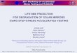 Lifetime Prediction for Degradation of Solar Mirrors using Step