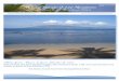Kaanapali Beach Resort, Maui Hawaii USA