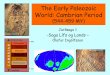 The Early Paleozoic World: Cambrian - hi