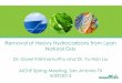 Removal of Heavy Hydrocarbons from Lean Natural Gas