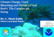 Climate Change, Coral Bleaching and Floridaâ€™s Coral Reefs: The