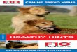 HEALTHY HINTS - Health and Hygiene