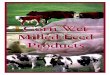 Corn Wet Milled Feed Products