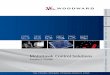 MotoHawk Control Solutions - Woodward, Inc