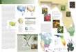Plants: Overview - FNAI