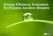 Energy Efficiency Evaluation for Process Aeration Blowers
