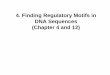4. Finding Regulatory Motifs in DNA Sequences (Chapter 4 and 12)