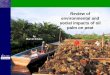 Review of environmental and social impacts of oil palm on peat
