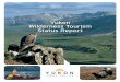 Yukon Wilderness Tourism Status Report 2008