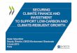 SECURING CLIMATE FINANCE ANDCLIMATE FINANCE AND INVESTMENT TO