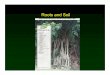 Roots and Soil Chapter 5 - South Sevier High