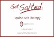 Equine Salt Therapy - Salt Chamber Inc