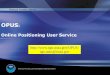 Online Positioning User Service