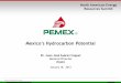 Mexicoâ€™s Hydrocarbon Potential