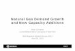 Natural Gas Demand Growth and New Capacity Additions