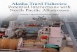 Alaska Trawl Fisheries: Potential Interactions with North
