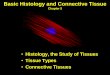 Basic Histology and Connective Tissue - Glendale Community College
