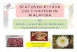 STATUS OF PITAYA CULTIVATION IN MALAYSIA - TFNet
