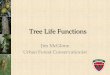 Tree Life Functions -   - Get a Free Blog Here