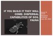 If you build it they will come: Dispersal capabilities of soil fauna