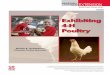 Exhibiting 4-H Poultry - Institute of Agriculture and Natural Resources