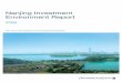 Nanjing Investment Environment Report - China Daily