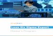 Lean Six Sigma Expert Master’s Program