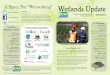 A Space For “Wetworking” Wetlands Update