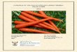 A PROFILE OF THE SOUTH AFRICAN CARROT MARKET VALUE …