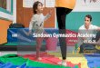 Sandown Gymnastics Academy 05.02