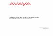 Avaya Aura® Call Center Elite Multichannel Overview