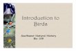 Introductionto Introduction ttoo to Birds