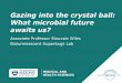 Gazing into the crystal ball: What microbial future awaits us?