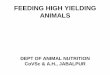 FEEDING HIGH YIELDING ANIMALS