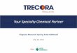 Your Specialty Chemical Partner Click to edit Master title 