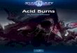 Acid Burns - Blizzard