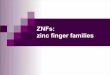 ZNFs: zinc finger families - UiO
