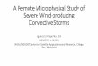 A Remote Microphysical Study of Severe Wind-producing 