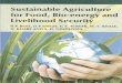 Sustainable Agriculture for Food, Bio-energy and 